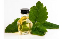 Що таке почули у парфумерії. Духи з ароматом почули - загадка чи пристрасть? Що таке почули у парфумерії. Духи з ароматом почули - загадка чи пристрасть?